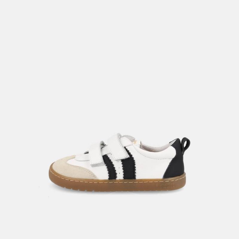 DELFIN-BLANCO26_1 DELFIN-BLANCO26_1