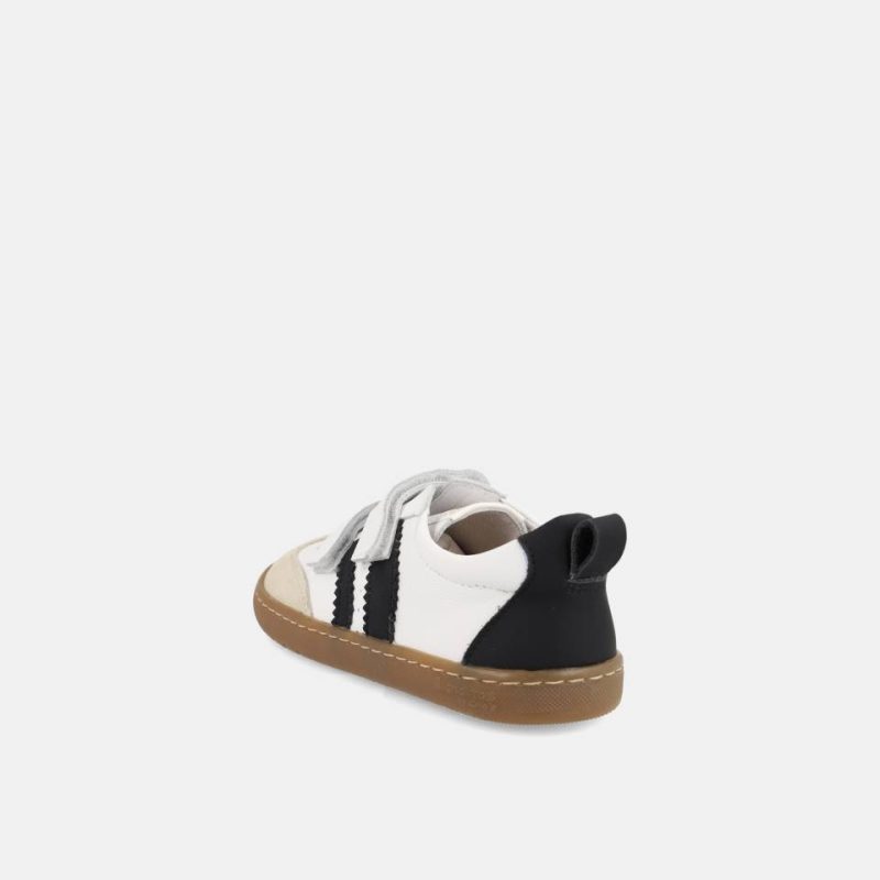 DELFIN-BLANCO26_2 DELFIN-BLANCO26_2