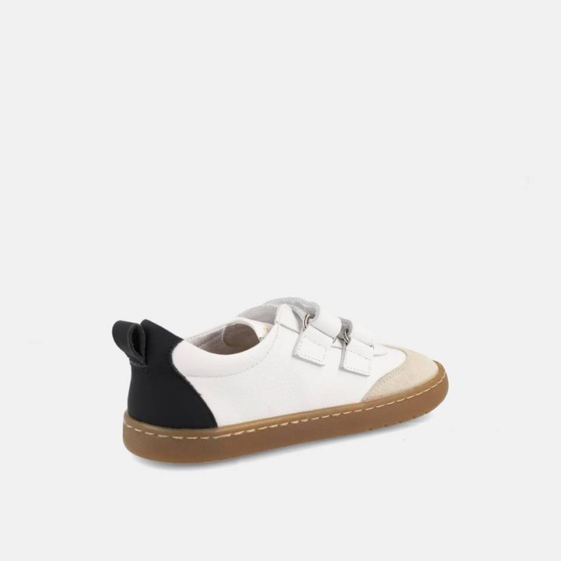 DELFIN-BLANCO26_3 DELFIN-BLANCO26_3