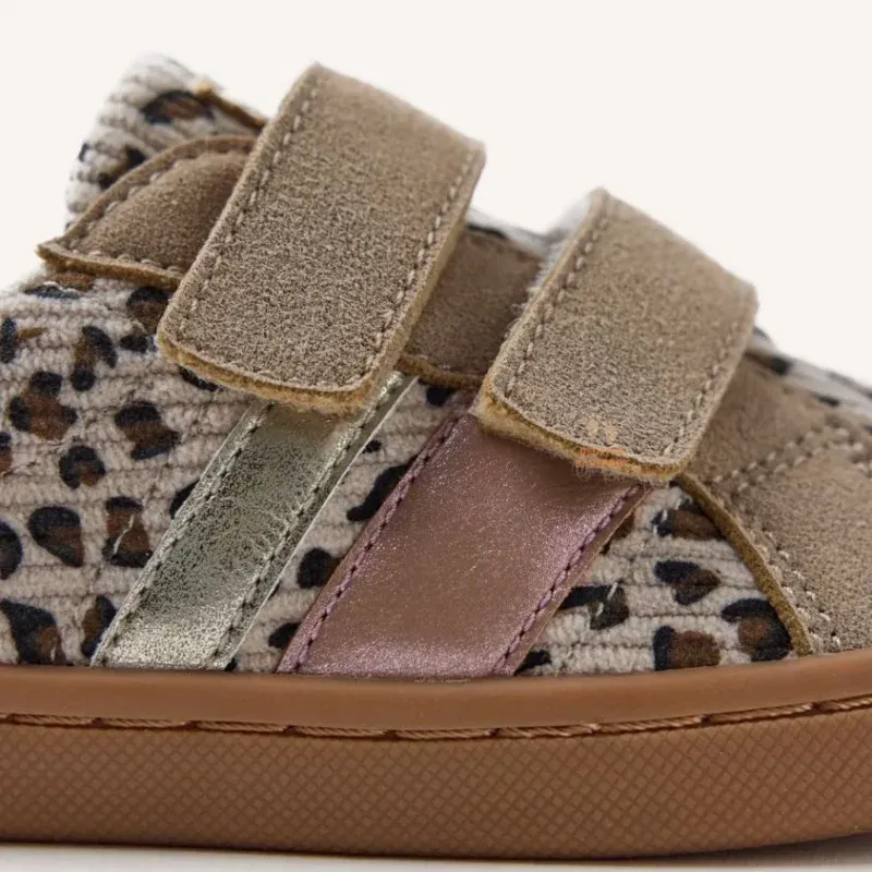 76988_leopardo_05 76988_leopardo_05